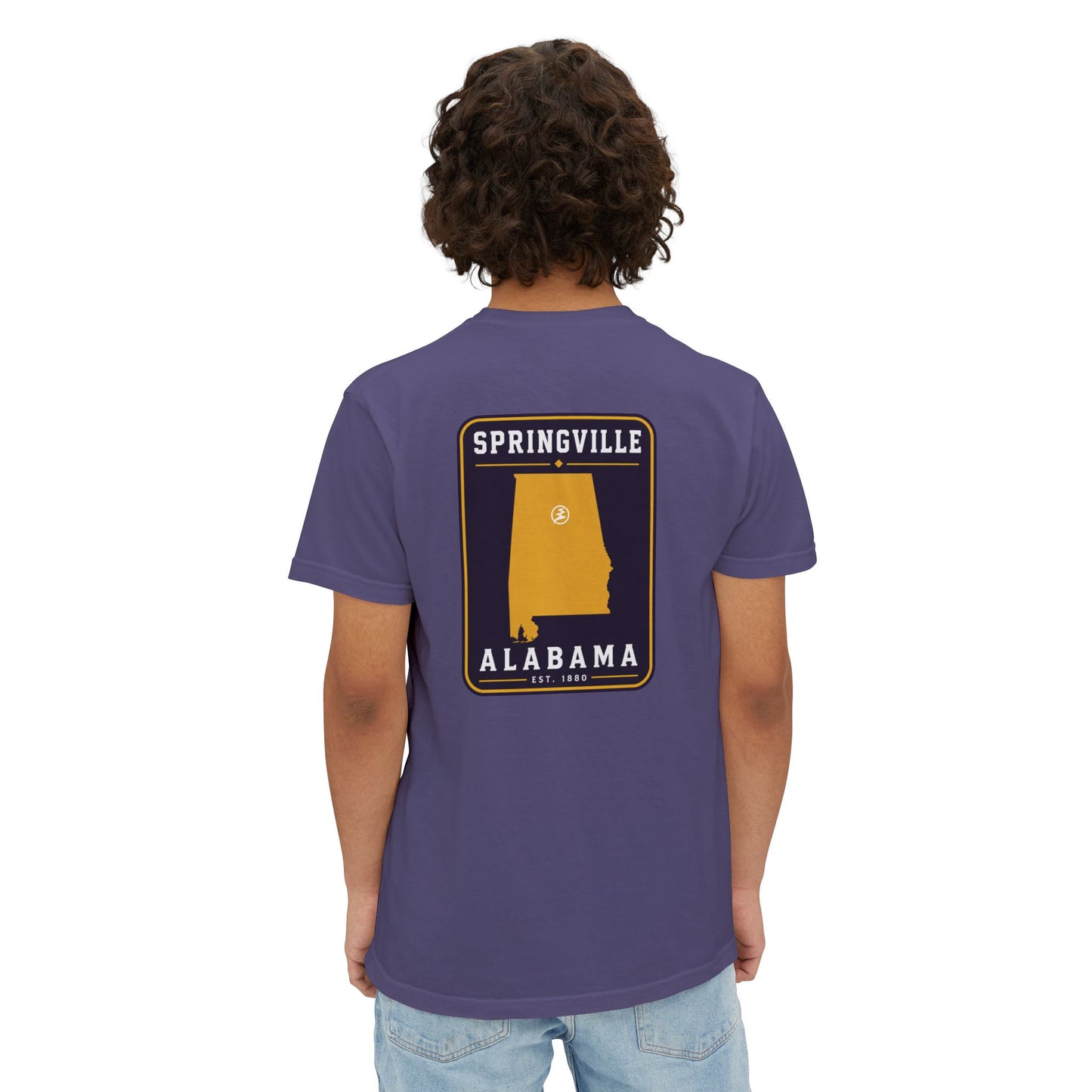 Springville "Established" pocket t-shirt