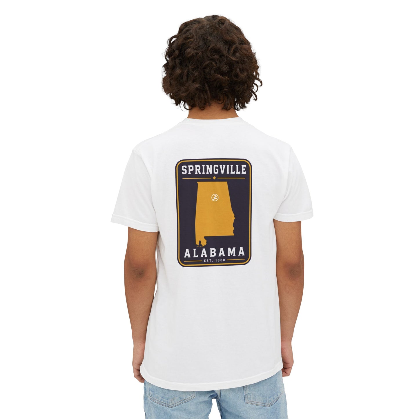 Springville "Established" pocket t-shirt