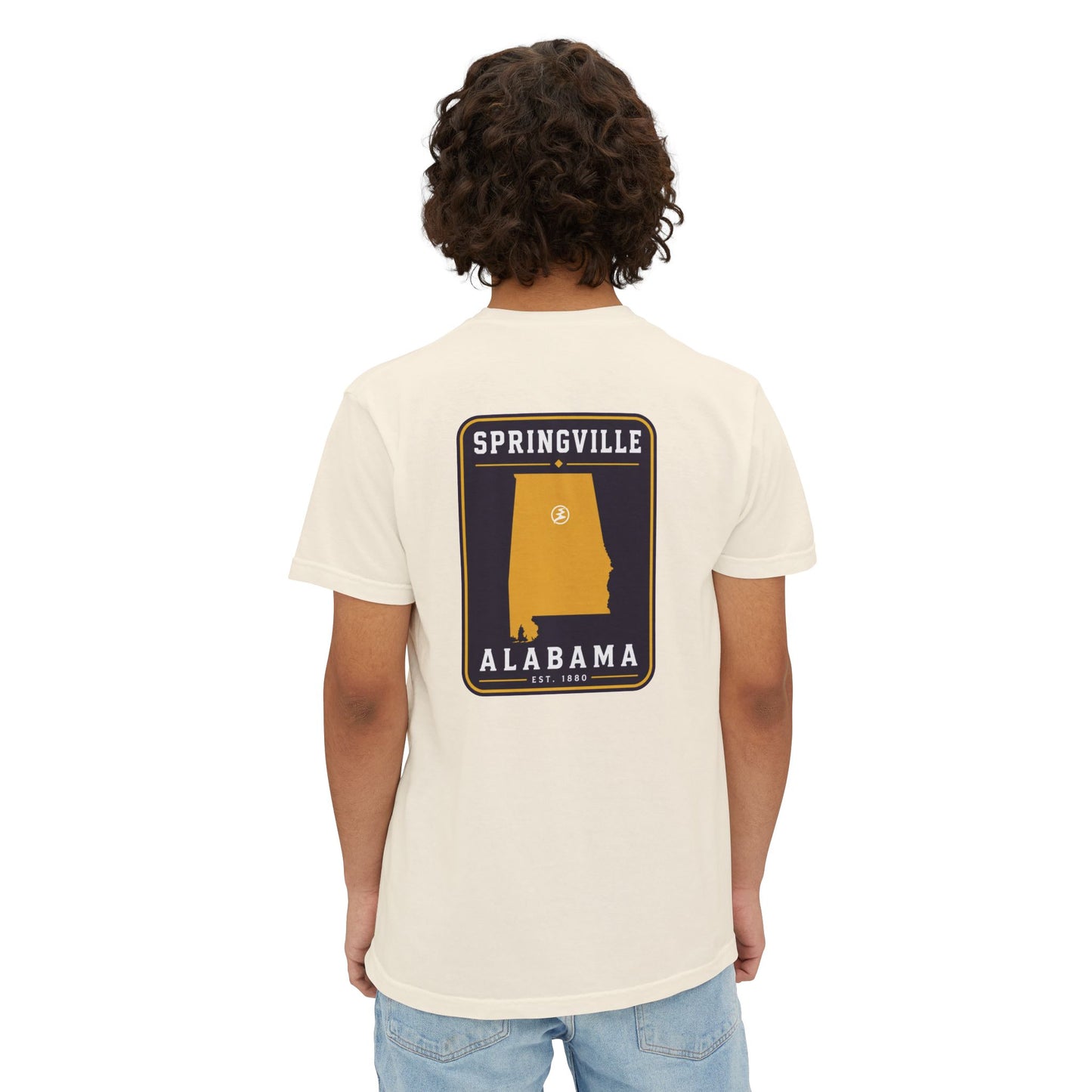 Springville "Established" pocket t-shirt