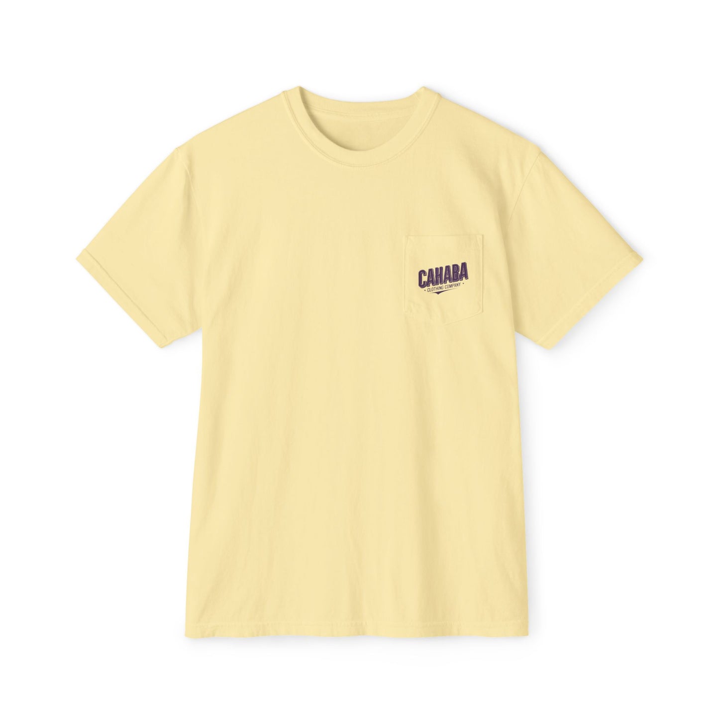Springville "Established" pocket t-shirt