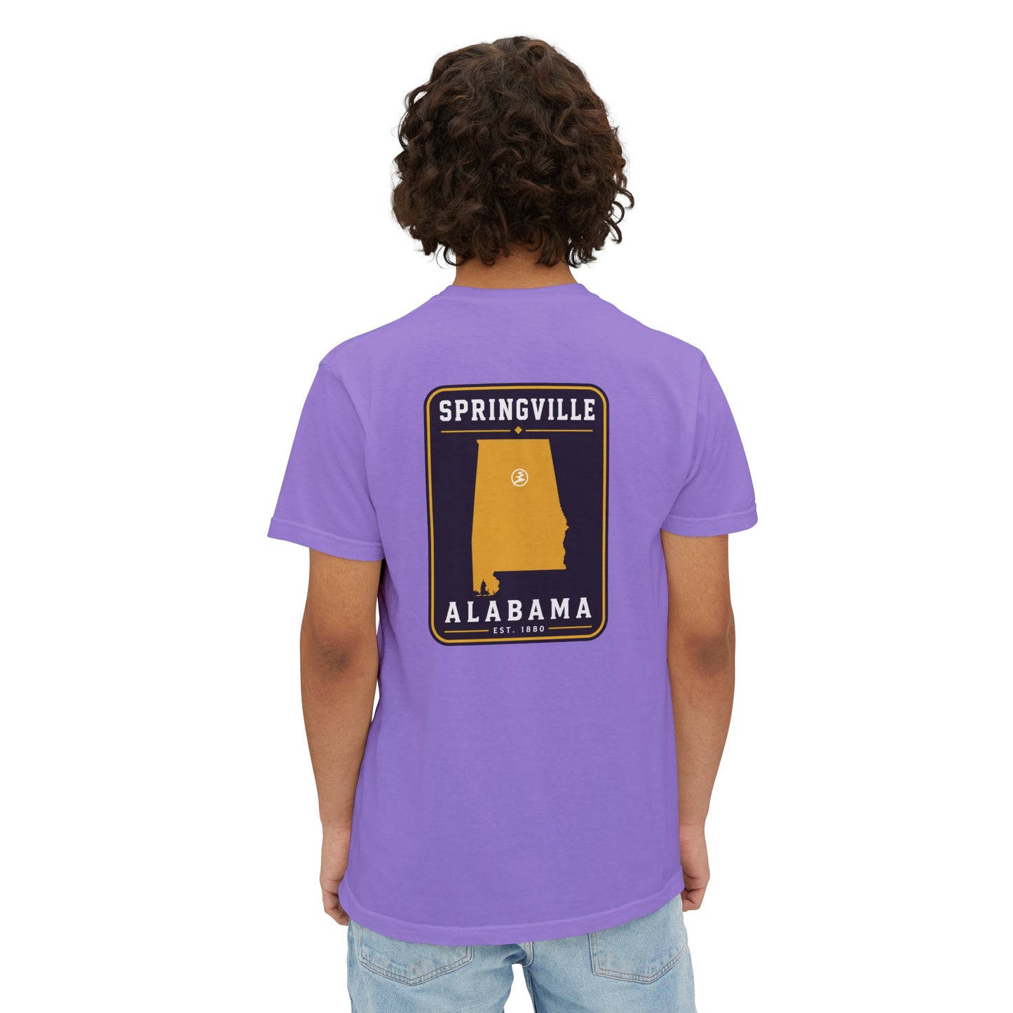 Springville "Established" pocket t-shirt