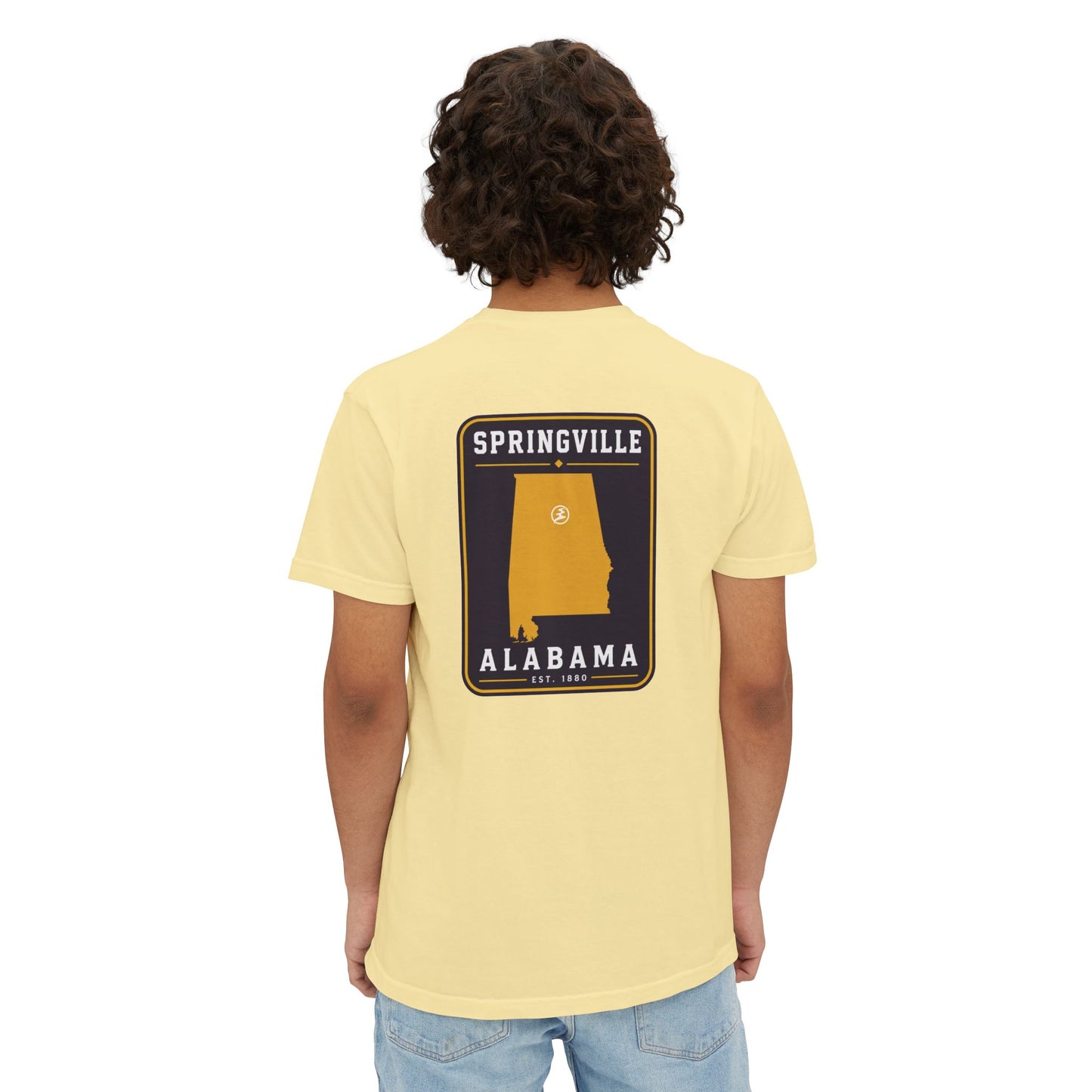 Springville "Established" pocket t-shirt